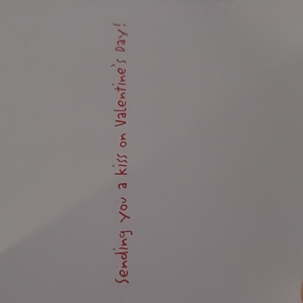 2 Papyrus x Palm Press Valentine's Day Cards - Picture 4 of 6